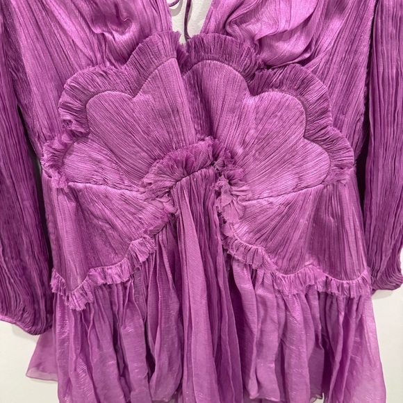 NWT Maria Lucia Hohan Alara Ruffled Minidress - Picture 14 of 16